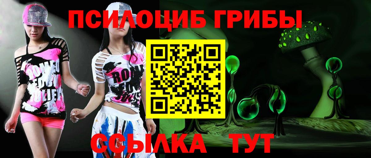 Геленджик  Галлюциногенные грибы прущие грибы  Вход с VPN 
